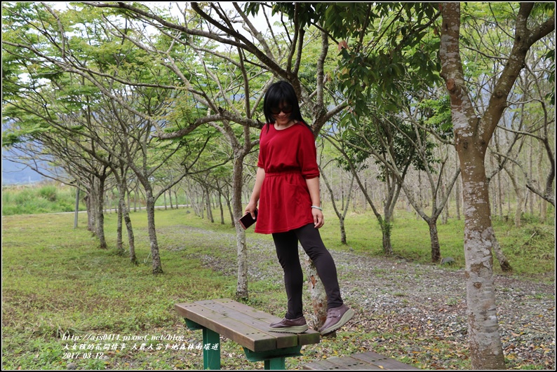 大農大富平地森林南環道-2017-03-18.jpg 大農大富平地森林南環道-2017-03-18.jpg
