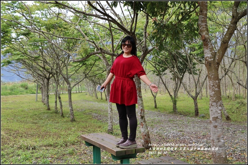 大農大富平地森林南環道-2017-03-19.jpg 大農大富平地森林南環道-2017-03-19.jpg