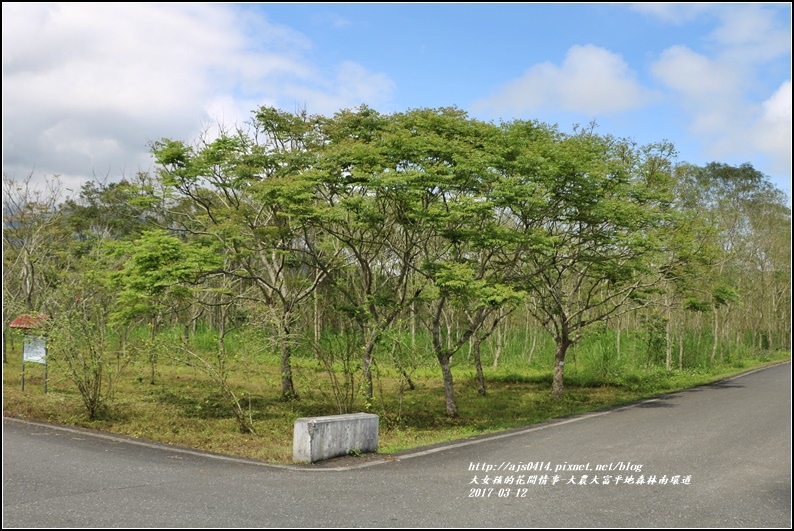 大農大富平地森林南環道-2017-03-20.jpg 大農大富平地森林南環道-2017-03-20.jpg