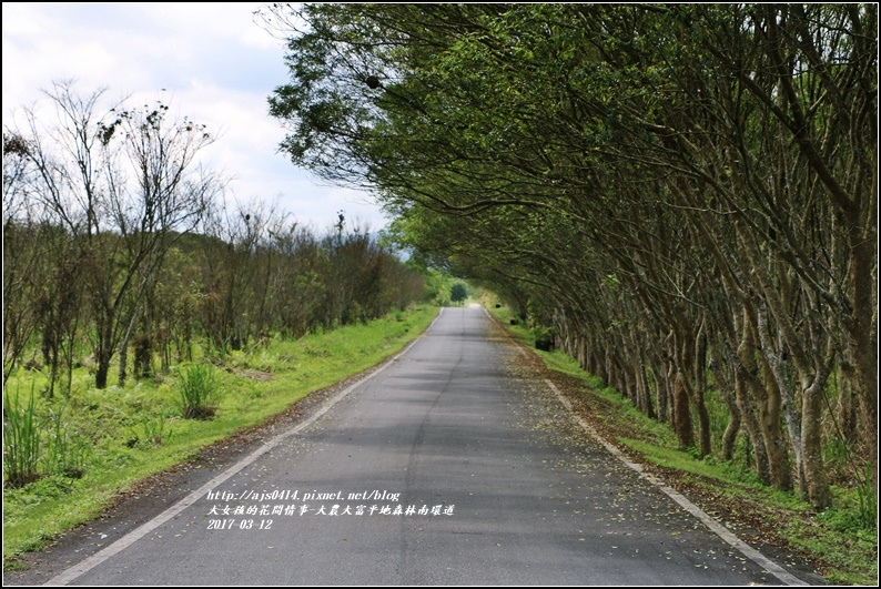大農大富平地森林南環道-2017-03-23.jpg 大農大富平地森林南環道-2017-03-23.jpg