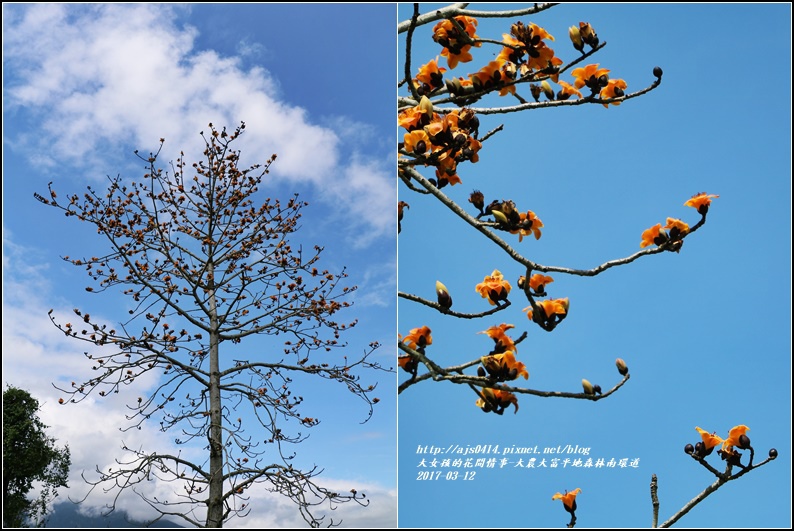 大農大富平地森林南環道-2017-03-24.jpg 大農大富平地森林南環道-2017-03-24.jpg