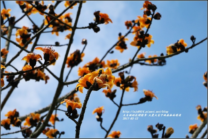 大農大富平地森林南環道-2017-03-25.jpg 大農大富平地森林南環道-2017-03-25.jpg