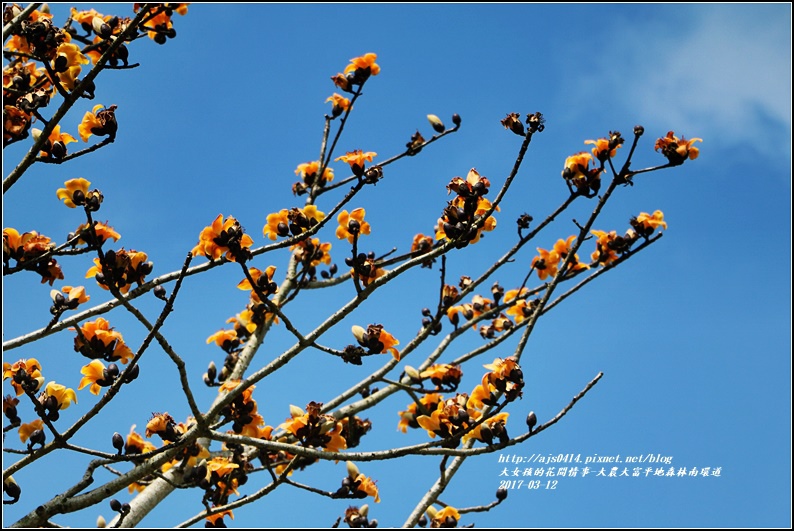 大農大富平地森林南環道-2017-03-26.jpg 大農大富平地森林南環道-2017-03-26.jpg