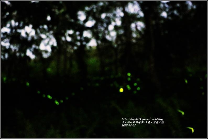 大農大富平地森林南環道-2017-03-27.jpg 大農大富平地森林南環道-2017-03-27.jpg