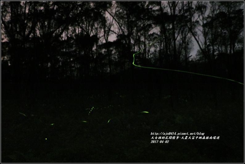 大農大富平地森林南環道-2017-03-28.jpg 大農大富平地森林南環道-2017-03-28.jpg