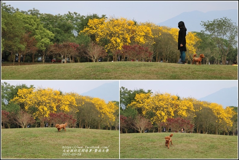暨南國際大學-2017-03-07.jpg 暨南國際大學-2017-03-07.jpg