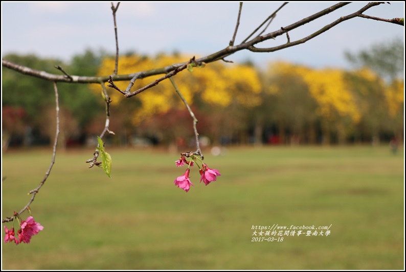 暨南國際大學-2017-03-10.jpg 暨南國際大學-2017-03-10.jpg