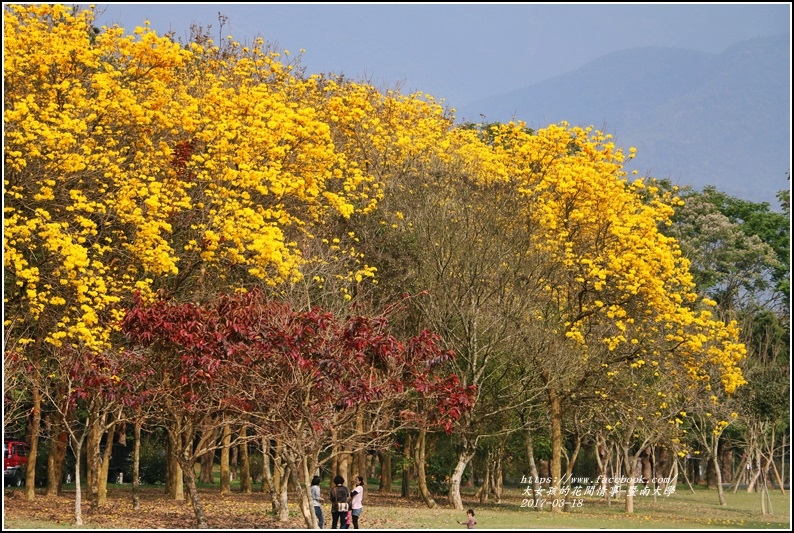 暨南國際大學-2017-03-16.jpg 暨南國際大學-2017-03-16.jpg