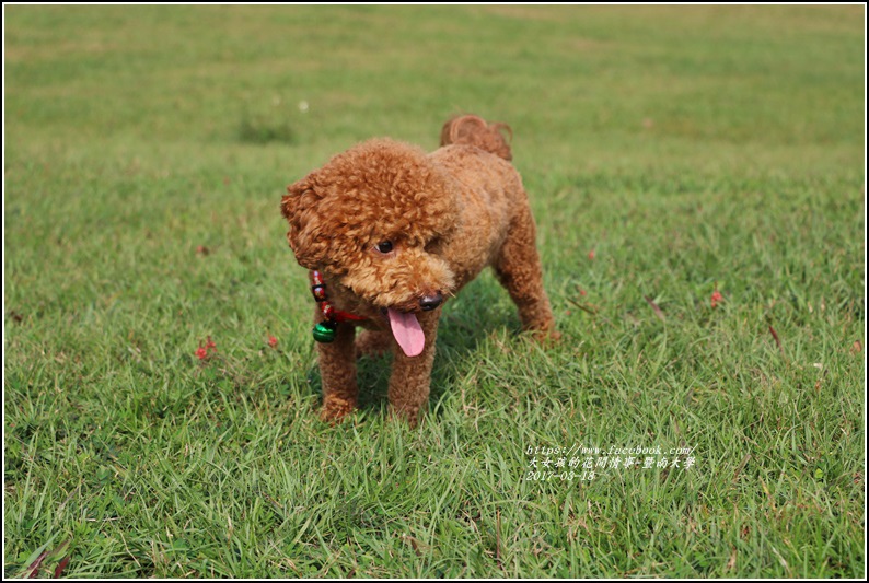 暨南國際大學-2017-03-20.jpg 暨南國際大學-2017-03-20.jpg
