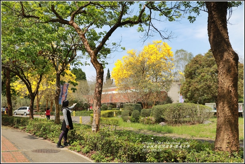 暨南國際大學-2017-03-28.jpg