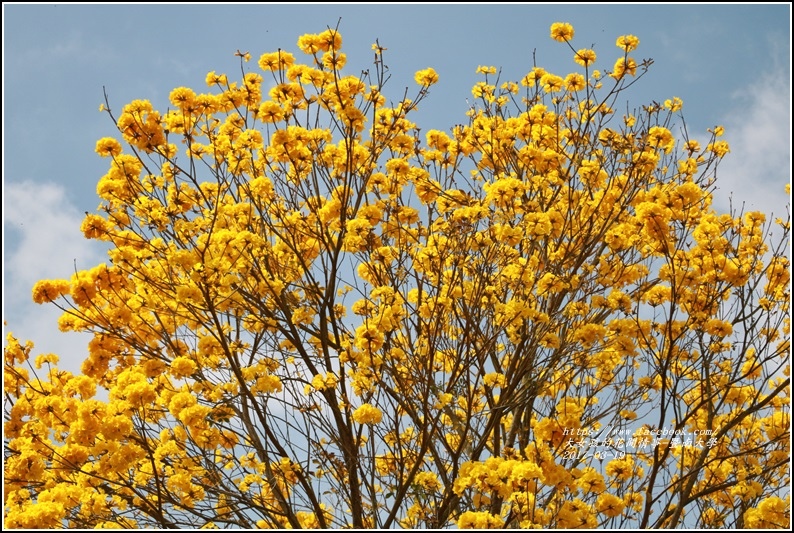 暨南國際大學-2017-03-30.jpg 暨南國際大學-2017-03-30.jpg