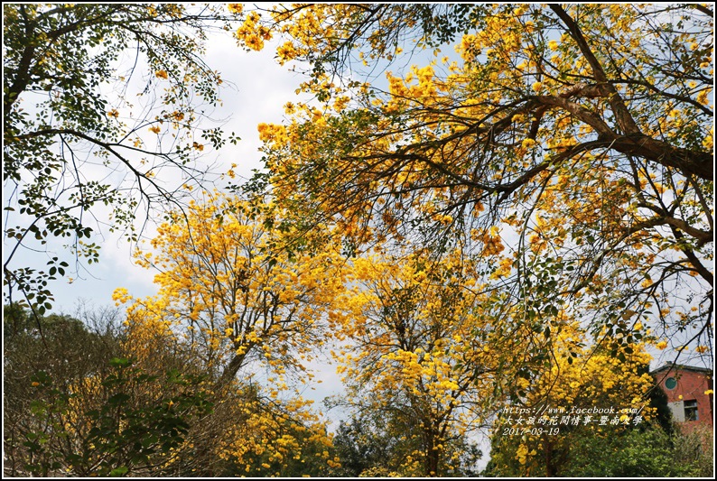 暨南國際大學-2017-03-31.jpg 暨南國際大學-2017-03-31.jpg