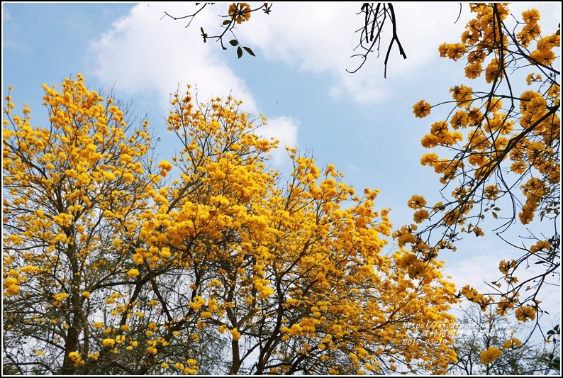 暨南國際大學-2017-03-33.jpg 暨南國際大學-2017-03-33.jpg