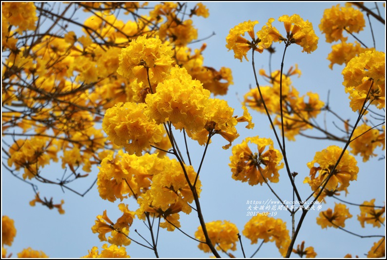 暨南國際大學-2017-03-36.jpg 暨南國際大學-2017-03-36.jpg