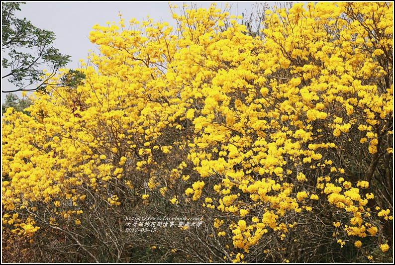 暨南國際大學-2017-03-44.jpg 暨南國際大學-2017-03-44.jpg
