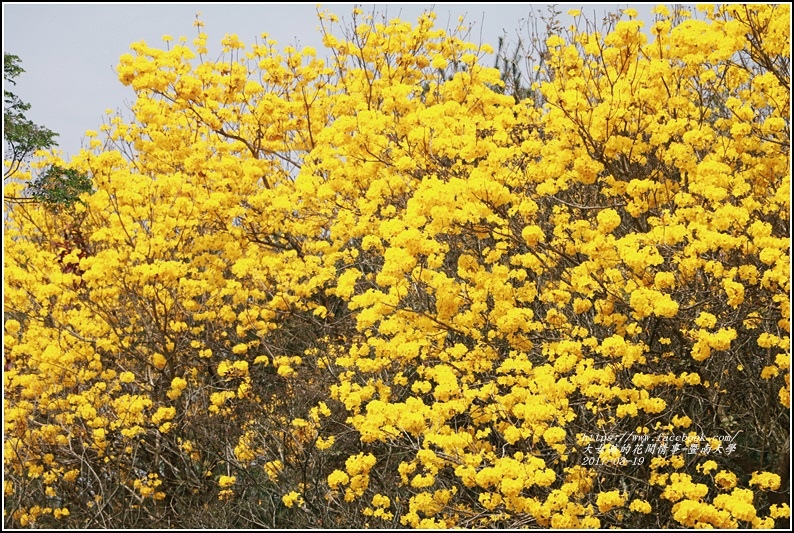 暨南國際大學-2017-03-45.jpg 暨南國際大學-2017-03-45.jpg