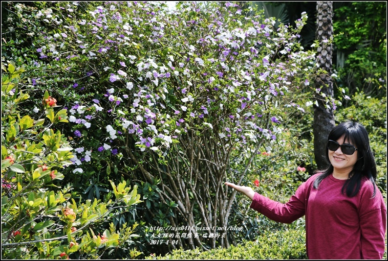 五彩苿莉-2017-04-15.jpg 五彩苿莉-2017-04-15.jpg