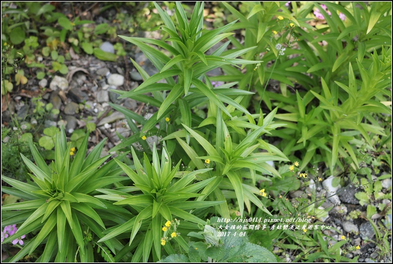 秀姑巒溪泛舟遊客中心-2017-04-09.jpg 秀姑巒溪泛舟遊客中心-2017-04-09.jpg