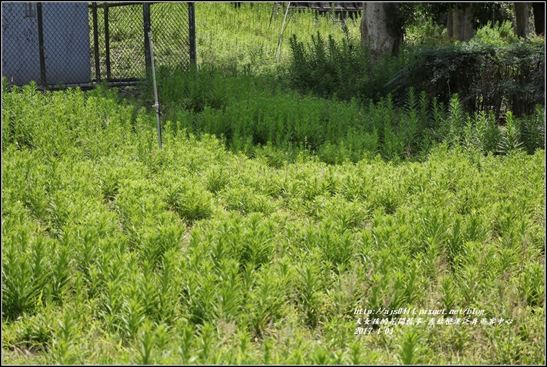 秀姑巒溪泛舟遊客中心-2017-04-10.jpg 秀姑巒溪泛舟遊客中心-2017-04-10.jpg