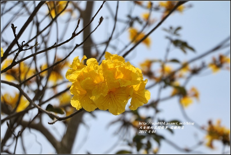 瑞穗街景-2017-04-02.jpg 瑞穗街景-2017-04-02.jpg