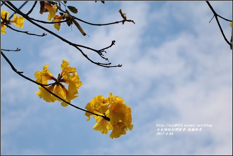 瑞穗街景-2017-04-01.jpg 瑞穗街景-2017-04-01.jpg