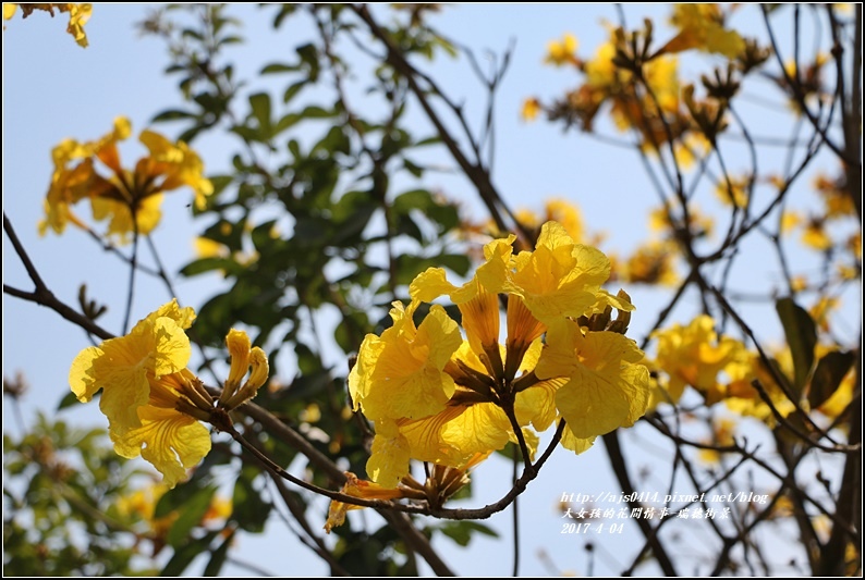 瑞穗街景-2017-04-04.jpg 瑞穗街景-2017-04-04.jpg