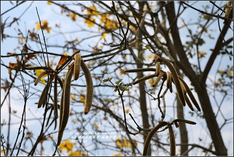 瑞穗街景-2017-04-03.jpg