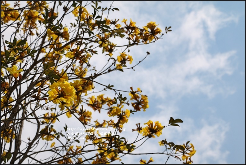 瑞穗街景-2017-04-05.jpg 瑞穗街景-2017-04-05.jpg