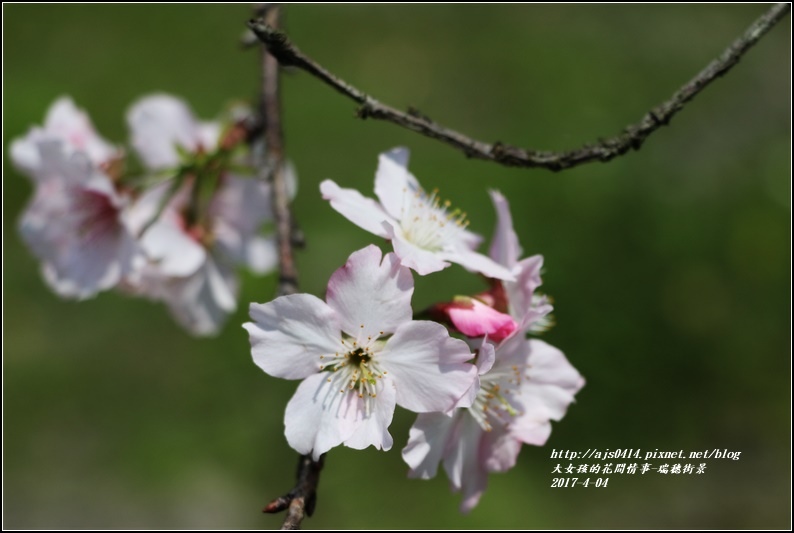 瑞穗街景-2017-04-07.jpg