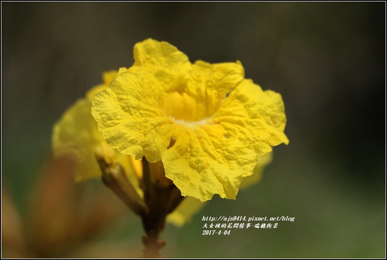 瑞穗街景-2017-04-06.jpg 瑞穗街景-2017-04-06.jpg