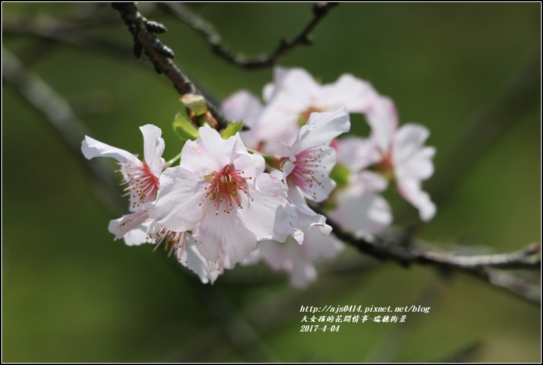 瑞穗街景-2017-04-08.jpg 瑞穗街景-2017-04-08.jpg