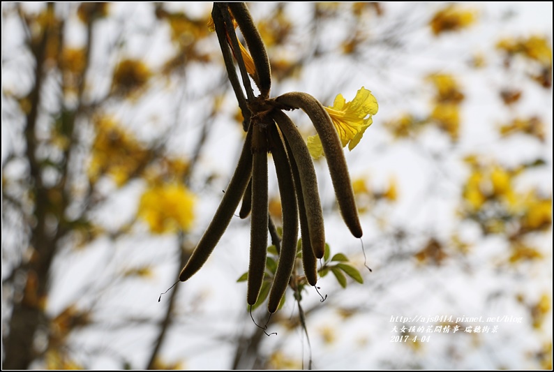 瑞穗街景-2017-04-11.jpg 瑞穗街景-2017-04-11.jpg
