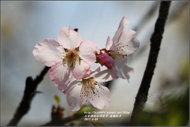 瑞穗街景-2017-04-09.jpg 瑞穗街景-2017-04-09.jpg