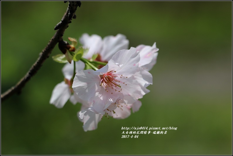 瑞穗街景-2017-04-10.jpg 瑞穗街景-2017-04-10.jpg