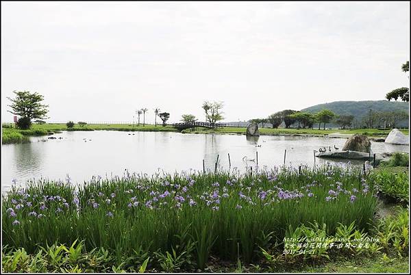 台開心農場鳶尾花-2017-04-13.jpg