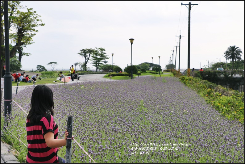 台開心農場-2017-4-31.jpg