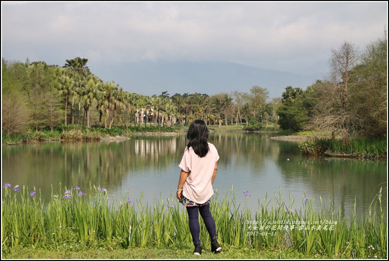 雲山水鳶尾花-2017-04-01.jpg