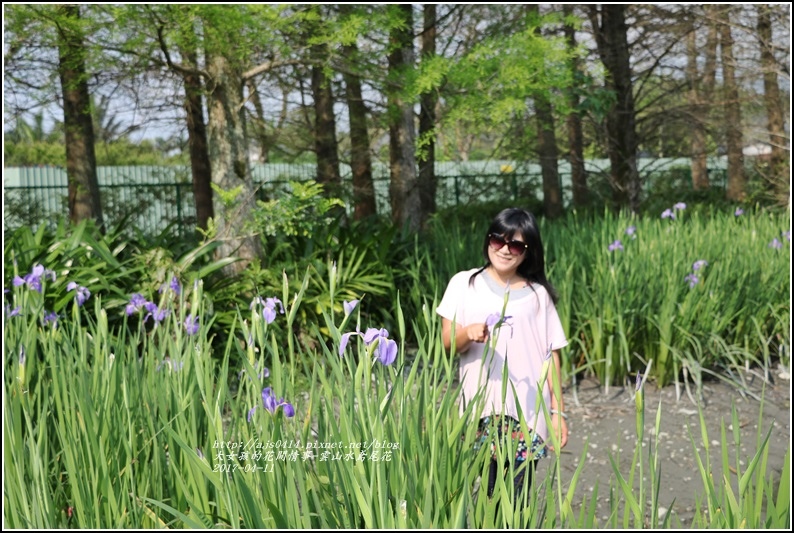 雲山水鳶尾花-2017-04-02.jpg