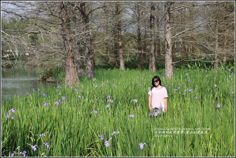 雲山水鳶尾花-2017-04-05.jpg