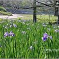 雲山水鳶尾花-2017-04-04.jpg