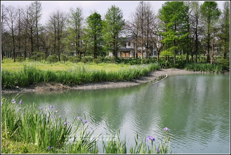 雲山水鳶尾花-2017-04-06.jpg