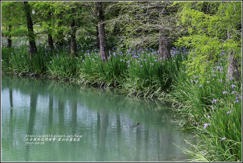 雲山水鳶尾花-2017-04-07.jpg