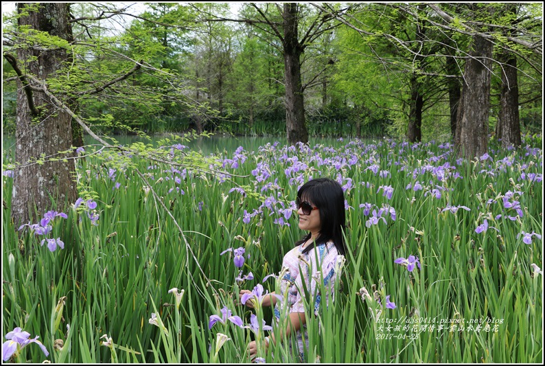 雲山水鳶尾花-2017-04-18.jpg