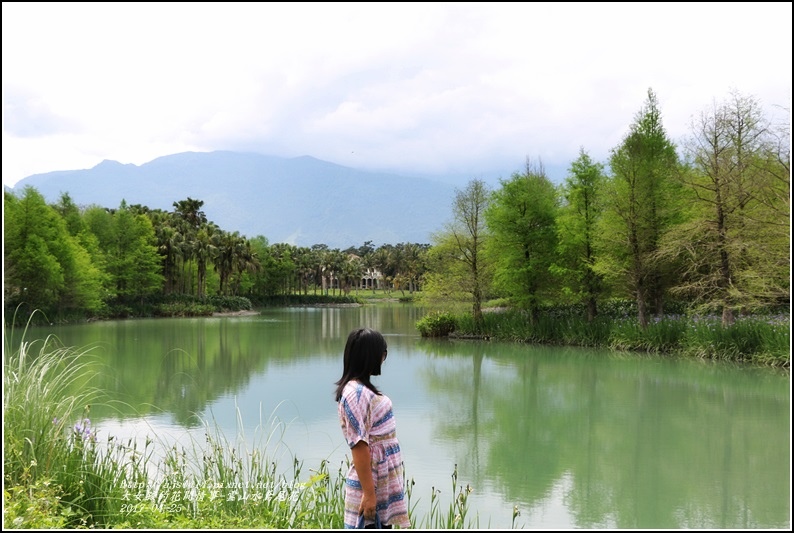 雲山水鳶尾花-2017-04-21.jpg