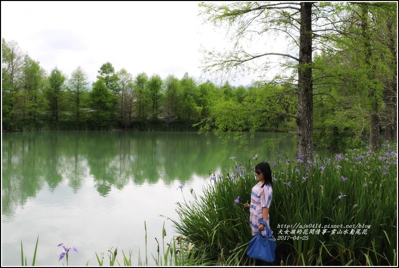 雲山水鳶尾花-2017-04-23.jpg