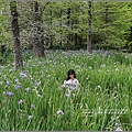 雲山水鳶尾花-2017-04-24.jpg