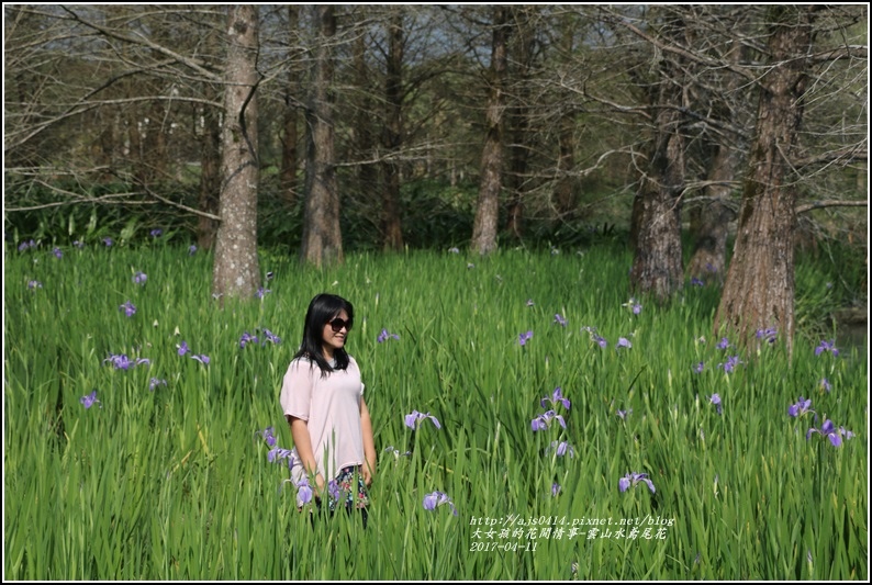 雲山水鳶尾花-2017-04-28.jpg