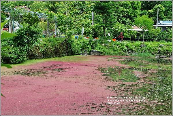 柳池生態園區-2017-05-18.jpg