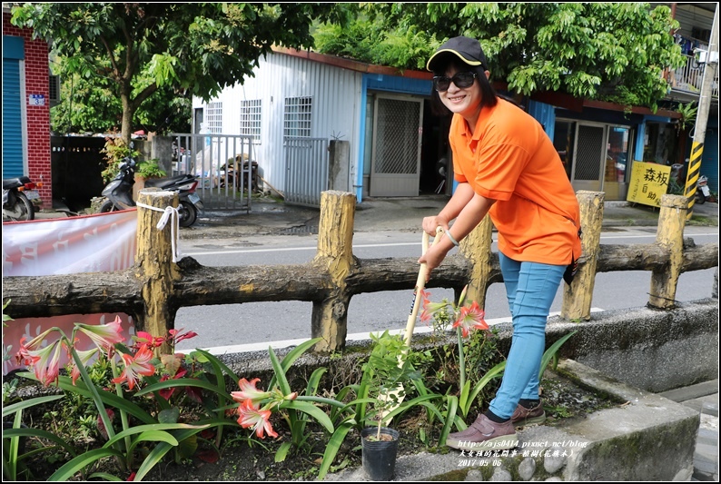 植樹(花旗木)-2017-05-02.jpg