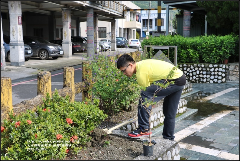 植樹(花旗木)-2017-05-05.jpg